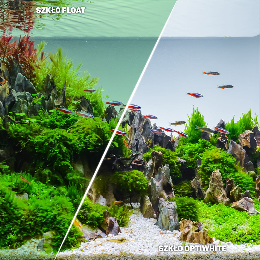 akwarium24 optiwite (3).jpg